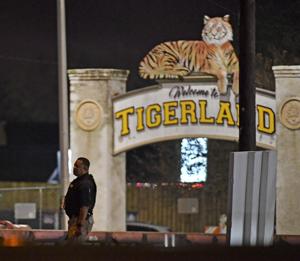 Man arrested, accused of taking woman home from Tigerland bar and raping her as she slept