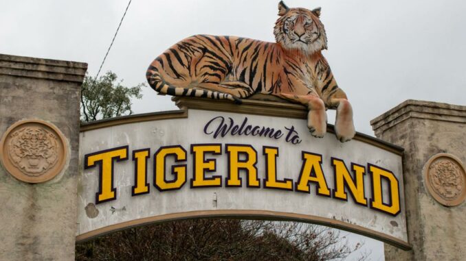 Man arrested after allegedly raping woman in her sleep after night at Tigerland