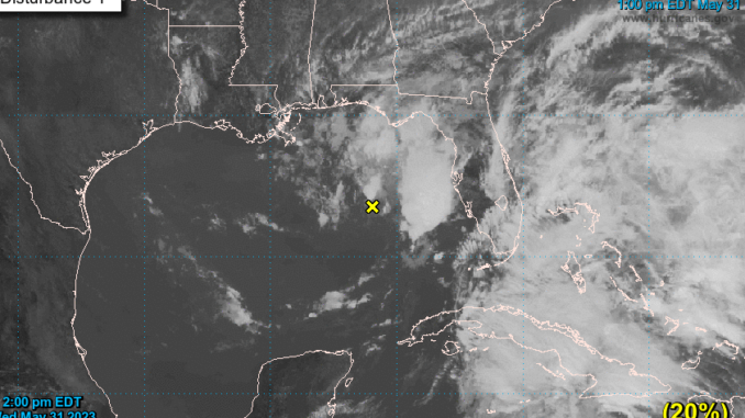 System in Gulf has stalled southeast of New Orleans; could become tropical depression