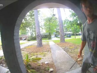 Video shows machete-swinging man trying to break into Mandeville home