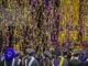 What are LSU seniors doing after graduation? Last pre-COVID college class shares its future plans
