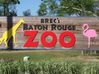 Baton Rouge Zoo announces 2023 date for Brew at the Zoo