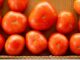 Bon Vivant: Tomato Me Crazy and more food fun for the week of June 14 to 21