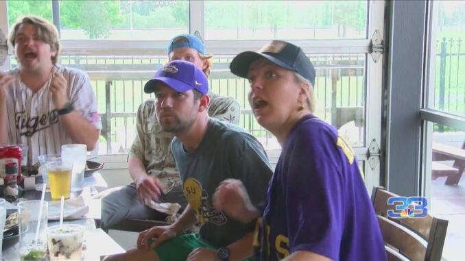 LSU baseball fans attend watch party for College World Series finale