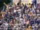 LSU falls short to Wake Forest 3-2, will play Tennessee in an elimination game Tuesday