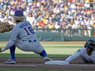 LSU lost to Wake Forest in the College World Series. Here's what we learned.