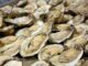 Oyster shell tax credit aims to help rebuild LA coast
