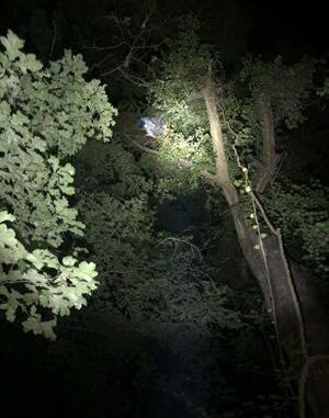 Paraglider crashes into tree, calls firefighters while stuck 50 feet up in the air