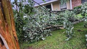 Storms continue Sunday in Shreveport - Bossier as area struggles to regain power, repair damage