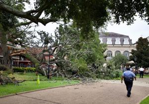 16-year-old in critical condition after oak tree snaps, falls in Jackson Square, NOPD says