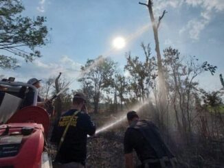 Photos: Crews spent 3 days battling grass fire along I-10, Ascension fire chief says