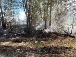 Blaze contained as multiple agencies battle wildfire in Livingston Parish that spread to woods