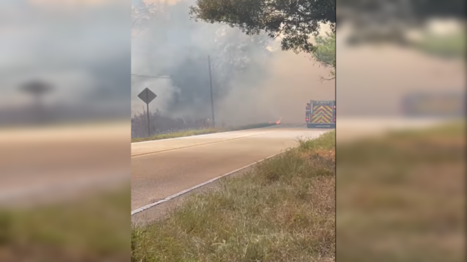 Fire crews work to contain wildfire in Denham Springs