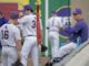 LSU board to vote on moving bullpens, adding 160 seats at Alex Box Stadium by 2025