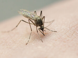 Mosquito abatement teams working overtime in East Baton Rouge Parish
